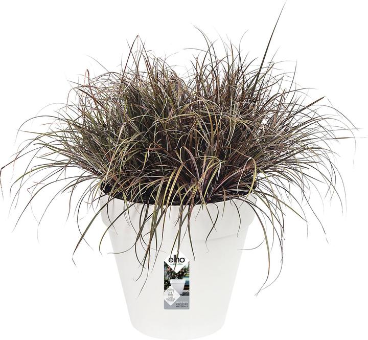 Image du produit Elho Loft urbain (24 cm)