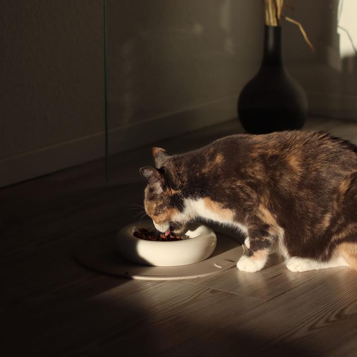 Actual product image LucyBalu DROP Katzennapf