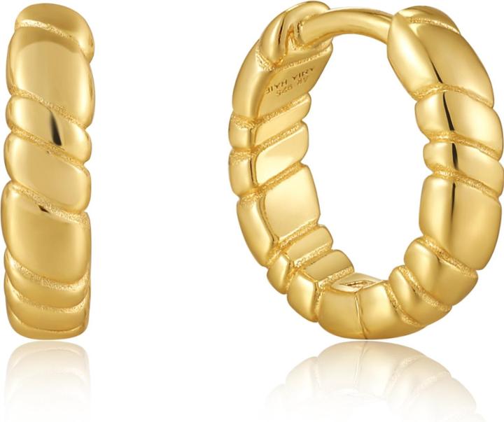 Image du produit Ania Haie Créoles Smooth Twist E038-02G (Argent 925)