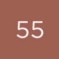 Immagine prodotto Diego dalla Palma Push Up Gloss n. 55 (55)