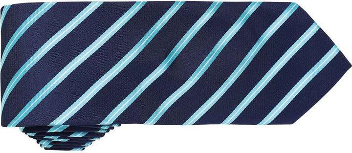 Actual product image Premier Sports tie with stripe pattern