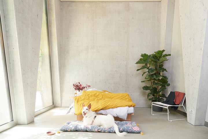 Image du produit lavie Louise (Taie d'oreiller, 50 x 70 cm)