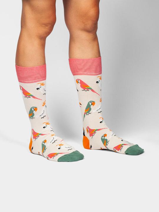 Produktbild DillySocks Sand Aviary (46 - 50)