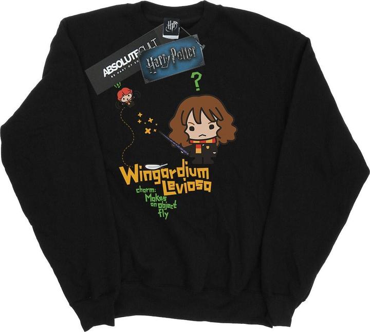 Image du produit - Sweat WINGARDIUM LEVIOSA - Garçon (116)