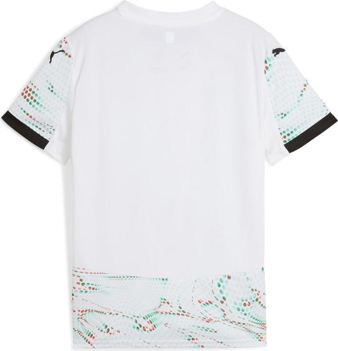 Actual product image Puma FPF Away Jersey Replica Jr (164)