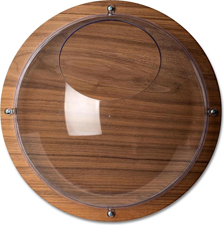 Koziol Decorazione da parete Orion Ready L, Marrone (23 x 34 x 35 cm)