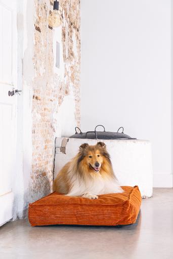Image du produit Designed by Lotte Coussin de couchage Ribbed (Chien)