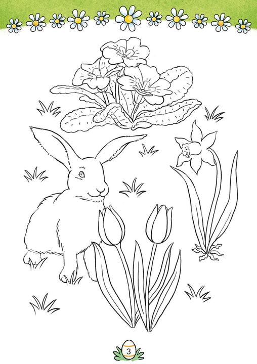 Actual product image Conni Yellow Series (activity book): Colouring fun for Easter and springtime