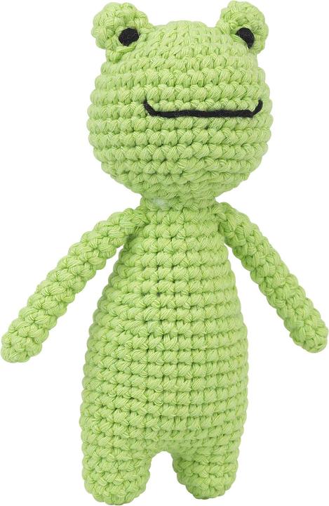 Image du produit Creative crafting world Kit à crochets "Grenouille Trevor