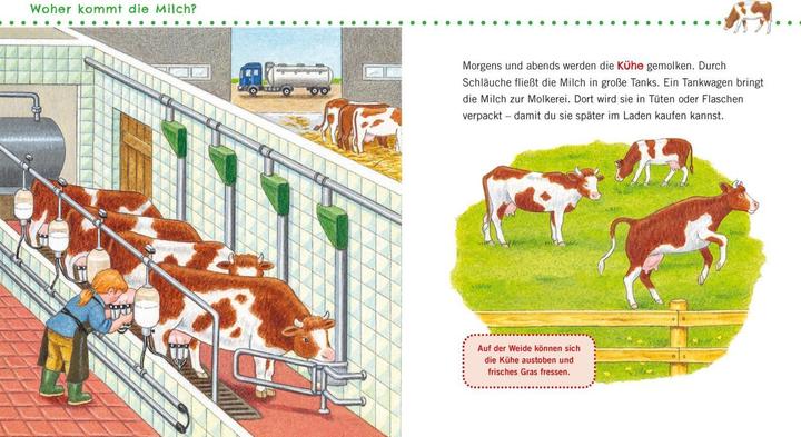 Immagine prodotto Unkaputtbar: Erstes Wissen: Unser Bauernhof (Tedesco, Petra Klose, 2022)