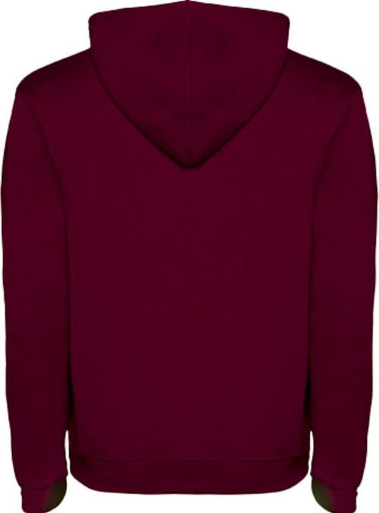 Image du produit Alpinia - Sweat à capuche URBAN - Homme (XL)