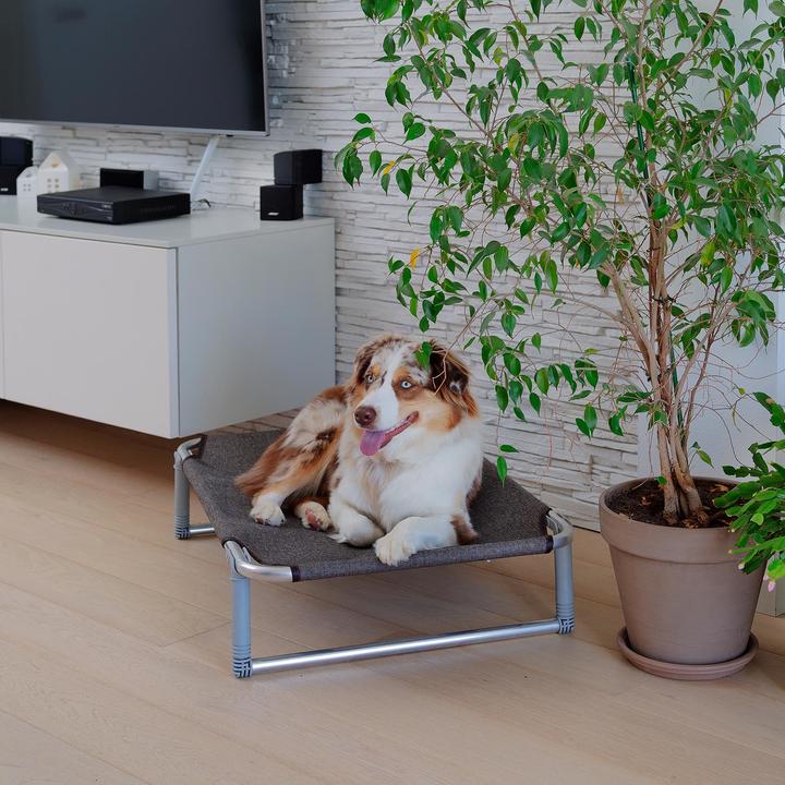 Produktbild Ferplast Dream (Hund)