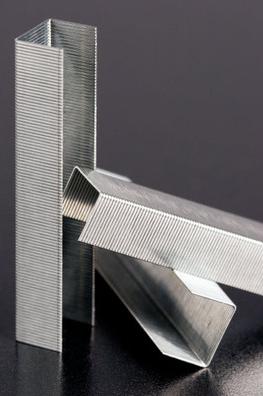 Actual product image Rapid Standard (5000 x)