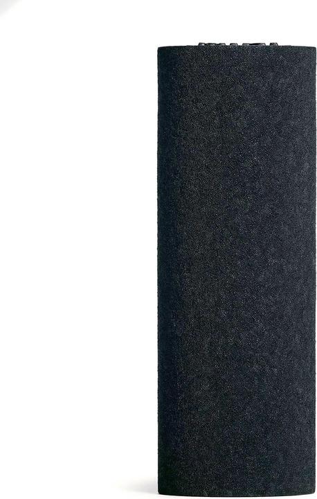 Blackroll Mini