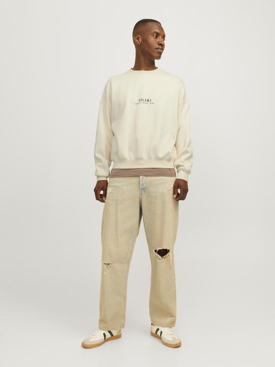 Produktbild Jack & Jones Jorbrooklyn Graphic Sweat Crew Neck Ln (S)