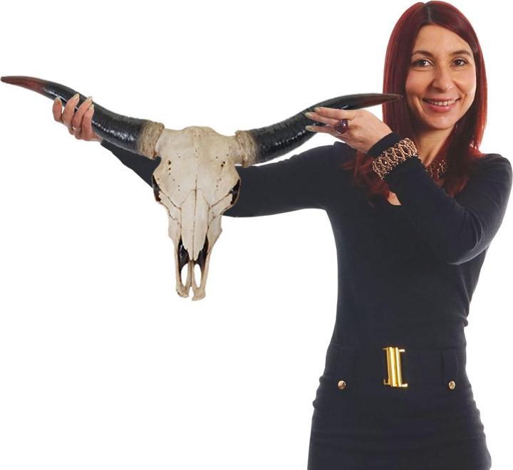 Image du produit JOHN316 Deko Schädel Longhorn