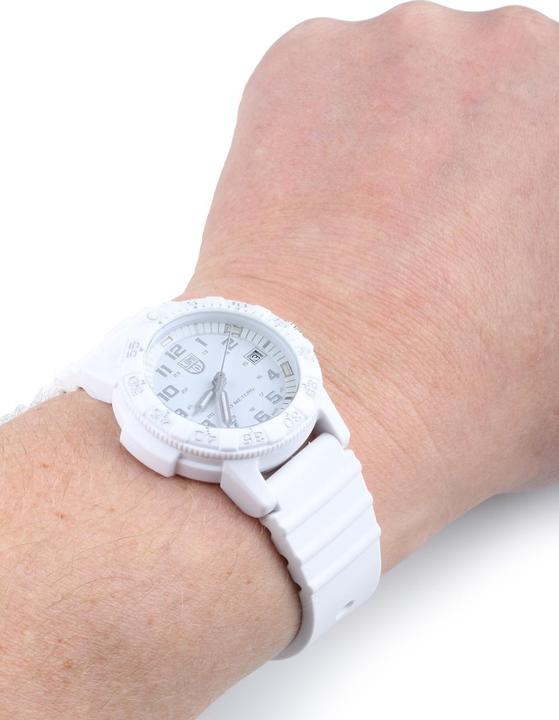 Actual product image Luminox Leatherback Sea Turtle 0300 Series (Swiss made, Analogue wristwatch, 39 mm)
