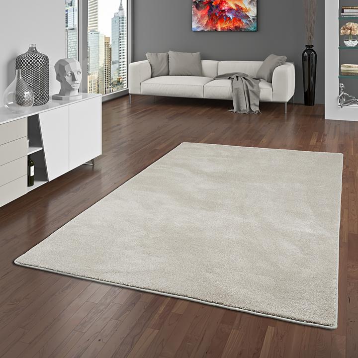 Produktbild Snapstyle Hochflor Luxus Velours Teppich Touch (200 x 250 cm)