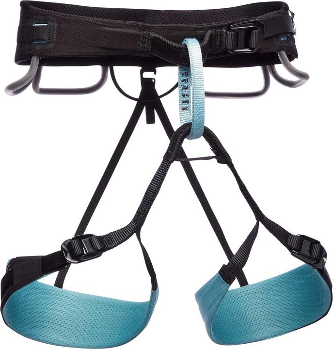 Black Diamond Technician climbing harness