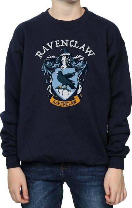 Immagine prodotto Felpa in cotone Ravenclaw per ragazzi (140, 146)