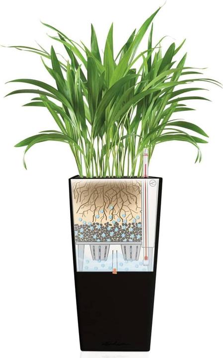 Image du produit Lechuza cubico (39.50 cm)
