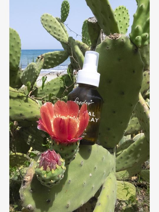 Image du produit Soeder* Spray naturel pour le visage (100 ml, Spray visage)