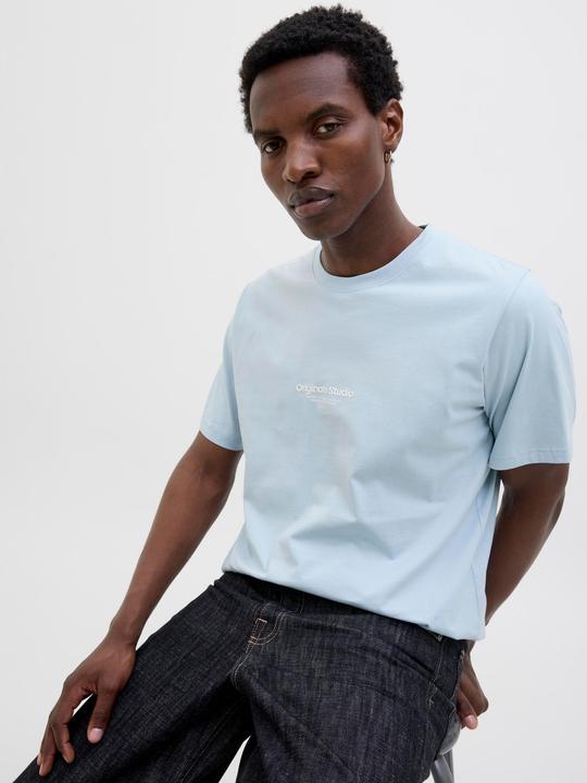 Actual product image Jack & Jones Jorvesterbro Tee Ss Crew Neck Noos (XS)