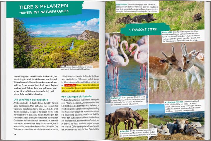 Actual product image OUTDOOR GUIDE Reiseführer Toskana