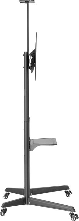 Produktbild SpeaKa Professional SP-TVC-310 TV-Rollständer 94.0 cm - 203.2 cm (37 - 80 Zoll) (70", 50 kg)