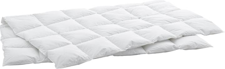 Image du produit Swiss Dream by billerbeck Support de cassette CLC 90 (650 g, 160 x 210 cm)