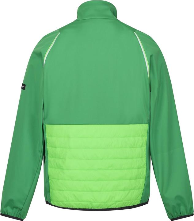 Produktbild Regatta Steren Hybrid Softshelljacke (L)