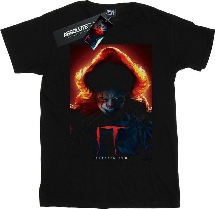 Actual product image Universal Textiles Womens/Ladies Pennywise Poster Cotton Boyfriend T-Shirt (M)