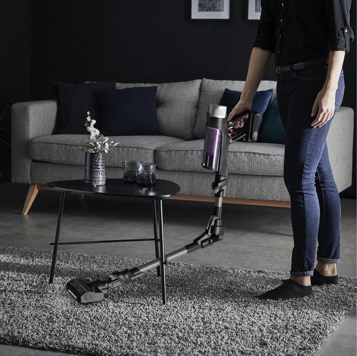Image du produit Rowenta X-Force Flex 9.60 Allergy RH2038