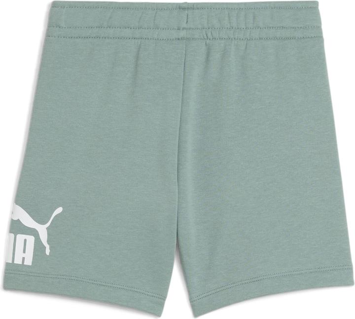 Actual product image Puma ESS No. 1 Logo Shorts TR PS (110)