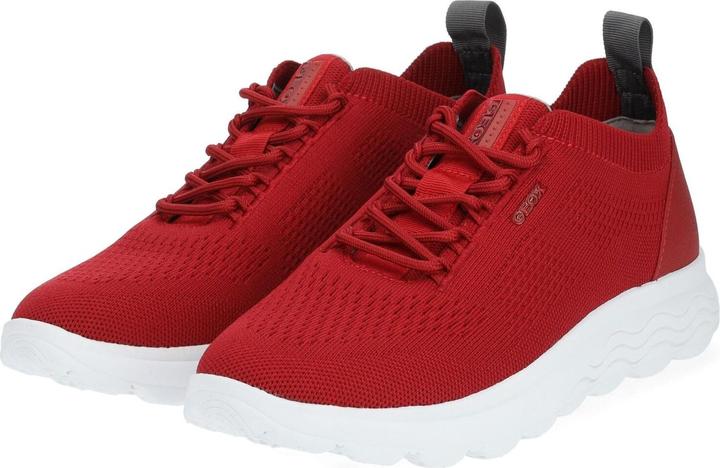 Actual product image Geox Sneaker (41)