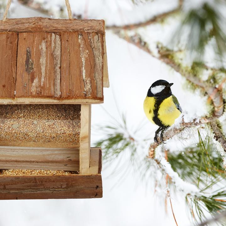 Image du produit Relaxdays Mangeoire-pour-oiseaux