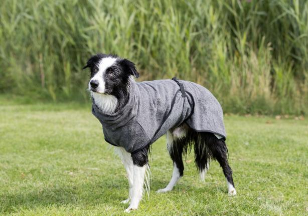Immagine prodotto Trixie Accappatoio Frotee (S, Accappatoio per cani)
