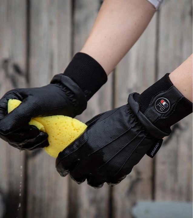 Actual product image Premier Equine Dajour (XXL)