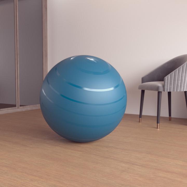 Actual product image Domyos Gym Ball (75 cm)