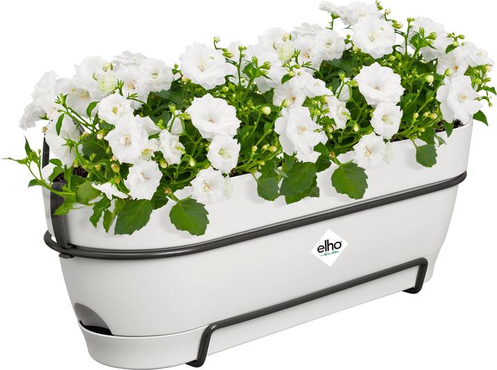 Actual product image Elho Vibia Campana Balkonkasten Allin1 (26 cm)