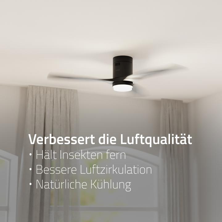 Image du produit Hombli Deckenventilator mit Licht (43 dB)