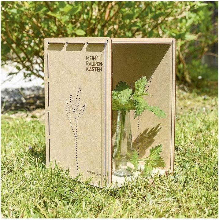 Produktbild Mein Raupenkasten Raupenkasten (Schmetterlinge)