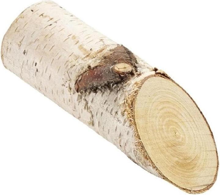 Actual product image Hobby Fun Natural Materials Birch Log 15 cm