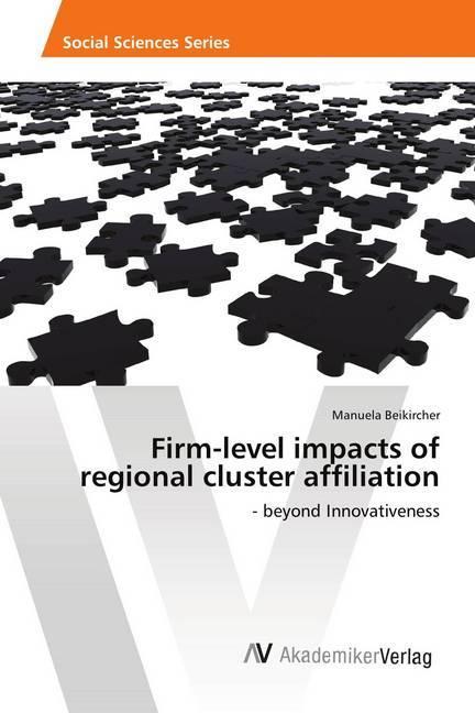 Actual product image Firm-level impacts of regional cluster affiliation (Manuela Beikircher, 2017)