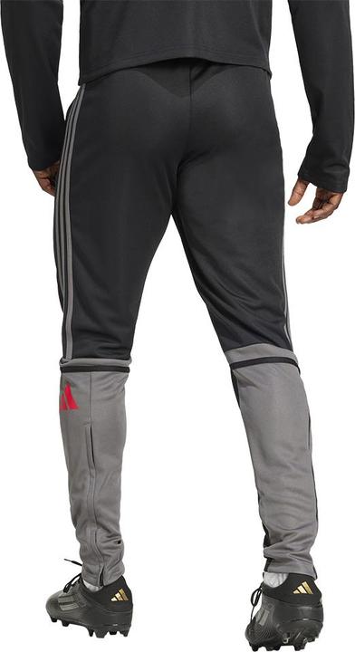Actual product image adidas Squadra 25 training trousers (XXL)