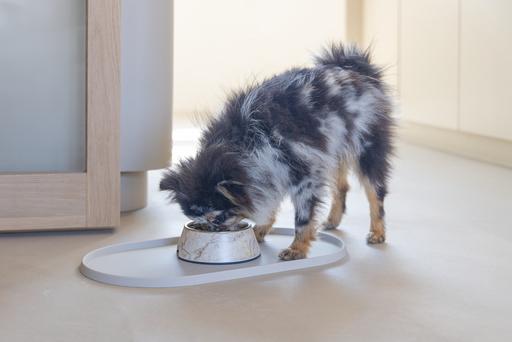 Actual product image Designed by Lotte Dog bowl Meis (0.16 l)