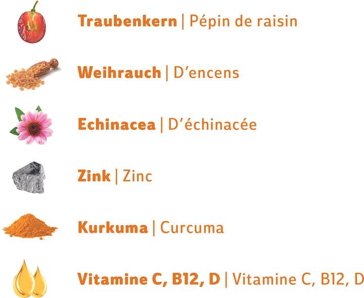 Nährwerte und Zutaten R&R SWISS IMMUNE Drop (15 Stück, Pastillen, 32 g)