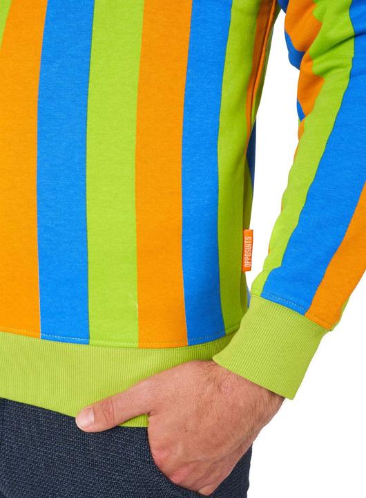Actual product image OppoSuits – Sesamstrasse Bert Pullover (L)