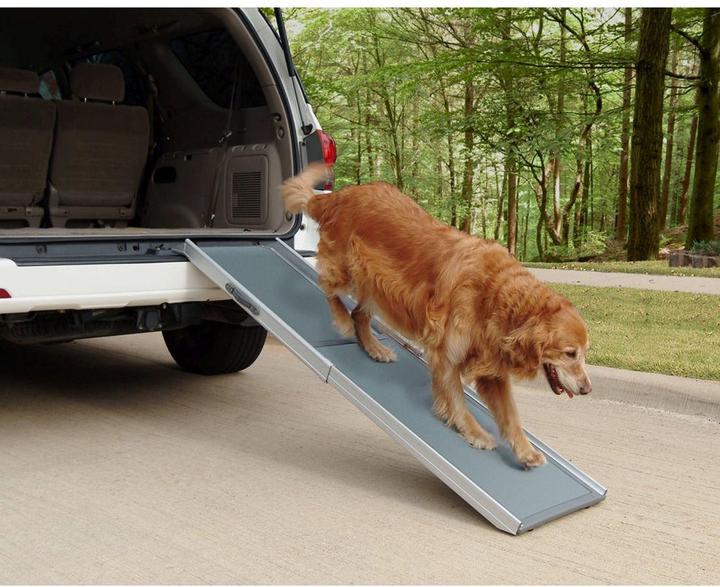 Produktbild PetSafe Teleskop-Hunderampe (Hund, Reflektoren)