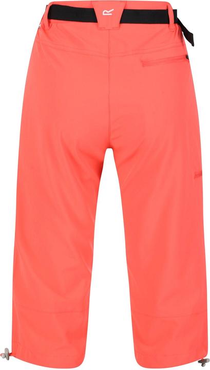 Actual product image Regatta Womens/Ladies Xert Stretch Casual Shorts (46 D)
